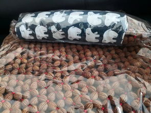 文藝作品激發(fā)脫貧動力 扶貧產(chǎn)品獎勵文藝戰(zhàn)士 耀州故事之脫貧故事 153